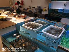 水产区-海江5号