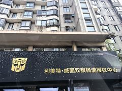 -利美特•威固V-KOOL双膜(杨浦授权店)