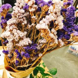 -Hair Co.一间沙龙