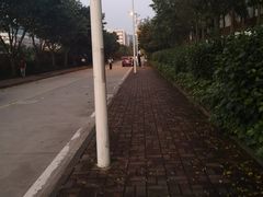 -广东金融学院(校本部)