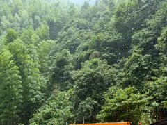 -将军关探险漂流