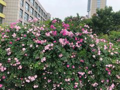 -UNIUNI(凯瑟琳广场店)