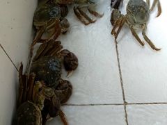 -乡乐园蟹庄·阳澄湖农家乐