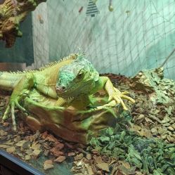 -Zoolung Zoolung动物主题公园(海信广场店)