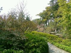 android_upload_pic-赵园·曾园