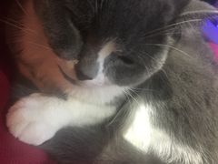 -MIKAKU(万达广场上海宝山店)