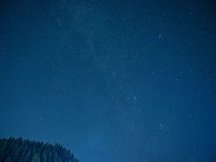 -武陵山森林公园