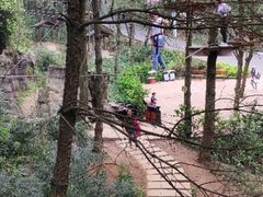 -梦幻奥陶纪景区