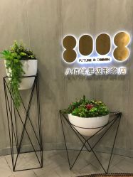 点击看大图 -八佰伴8008星级形象店