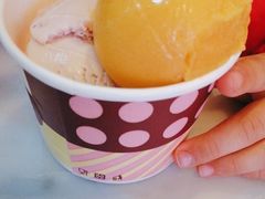 哈根达斯双球-哈根达斯(华星店)
