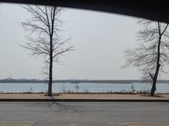 -呼兰河口湿地公园