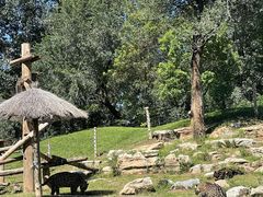 -北京野生动物园