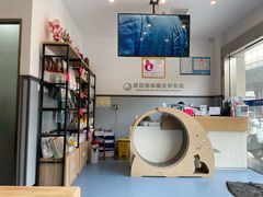 -伟伟宠物医院·瑞派猫友好医院·猫科(光谷店)