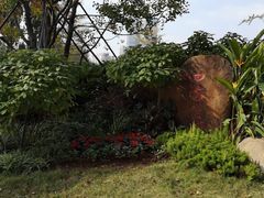 -四海公园(南山区)