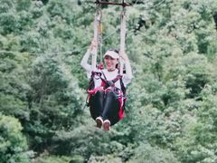 -梦幻奥陶纪景区