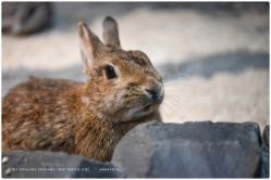 -Zoolung Zoolung动物主题公园(海信广场店)