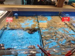 -小螺号海鲜·地道鲁菜(恒大店)
