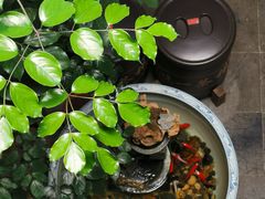 -普洱茶府(博乐广场店)