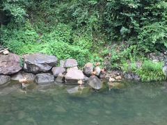 -将军关探险漂流