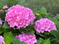 -广州市白云山风景名胜区