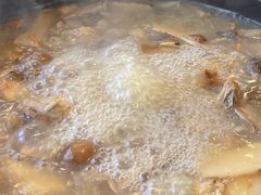 -蘑统田下·野生菌火锅