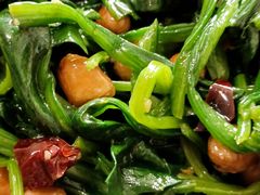 -听涛雅苑百味饺子老家菜馆