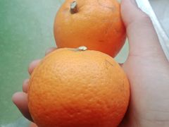 -嘉百乐超市(新东街店)