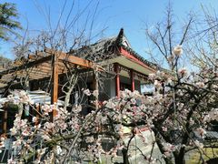 -南通博物苑-崇川人民公园