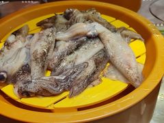 海鲜-龍歌自助小火锅(市南金茂湾店)
