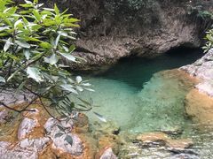 -南海湾森林生态园