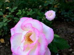 -滨河世纪广场公园