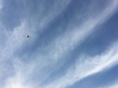 -上海科技馆(地铁站)
