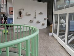 -有猫主题·治愈系猫咖(曾厝垵店)