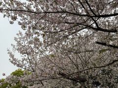 -堤角公园