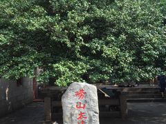 -青岛崂山太清宫