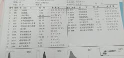 -俏妈咪月子会所