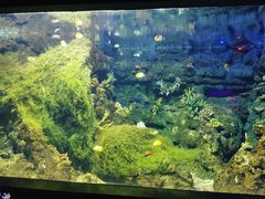 -江和美海洋公园