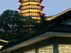 -浙江西子宾馆·牡丹厅