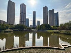 -大望京公园