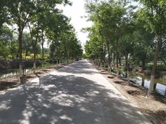 -西青郊野公园