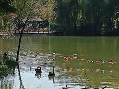 -河北省园博园