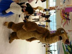 android_upload_pic-冠军冰场CHAMPION RINK(百联又一城店)