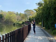 -王借岗森林公园