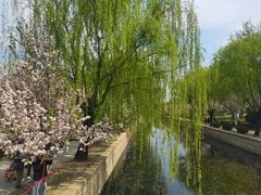 -元大都城垣遗址公园