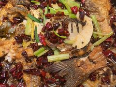 -老板恋上鱼(印象城店)