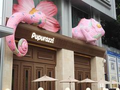 -帕帕拉兹宠物(亚洲旗舰店)