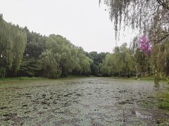 -新洲生态园