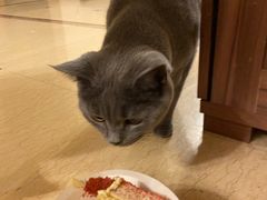 -ebeecake小蜜蜂蛋糕(酒仙桥店)