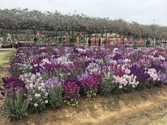 -盈香心动乐园