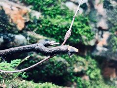 -湖洞水自然风景区